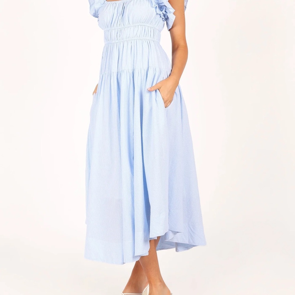 Petal & Pup Linda Midi Dress in Blue Stripe - Medium - Picture 5 of 8